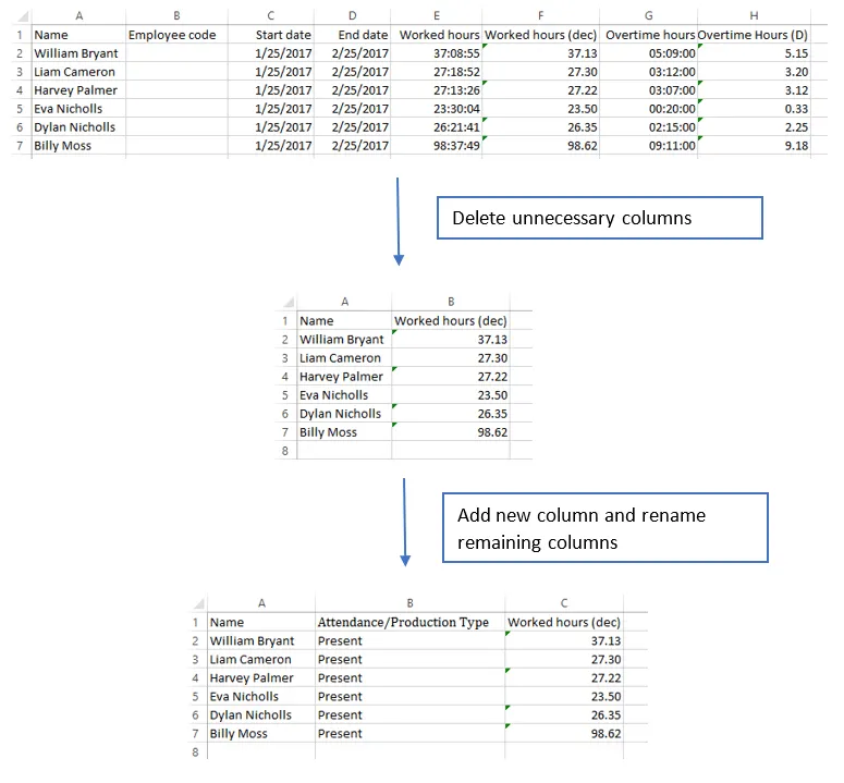 Tally ERP guide